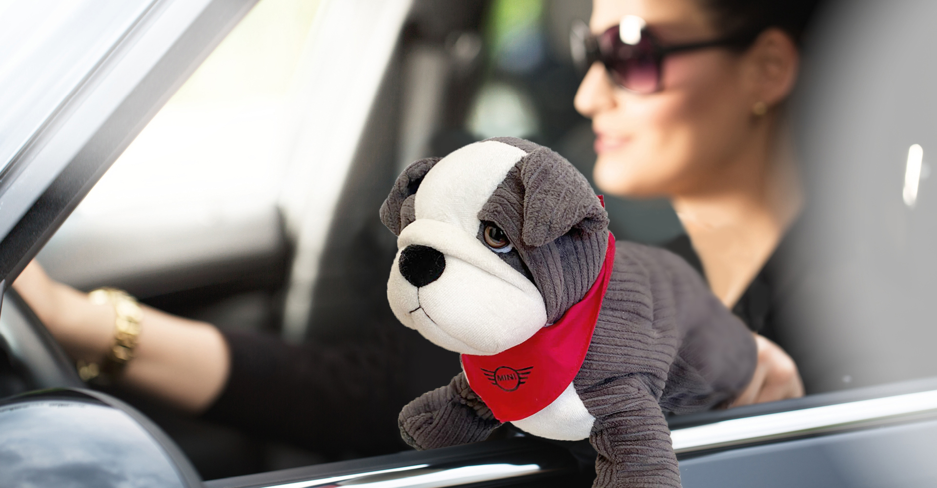 mini_bulldogge_slider_01